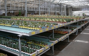 Convoyeurs à rouleaux